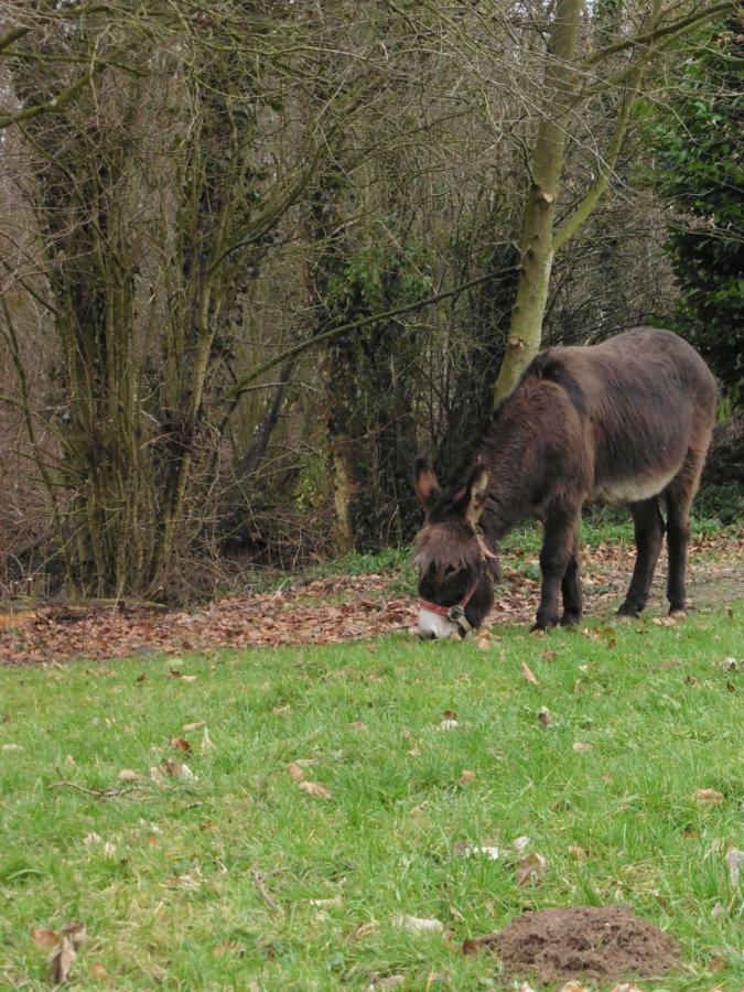 Conchy-sur-Canche Au Fil De L'Eauヴィラ エクステリア 写真